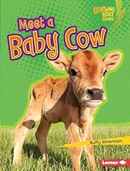 Meet baby cow for sale  Delivered anywhere in USA 