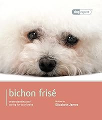 Bichon frise bichon d'occasion  Livré partout en Belgiqu