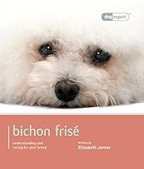 Bichon frise bichon for sale  Delivered anywhere in UK