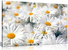 Daisys daisy canvas for sale  Delivered anywhere in UK