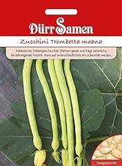 Zucchini samen trombetta gebraucht kaufen  Wird an jeden Ort in Deutschland