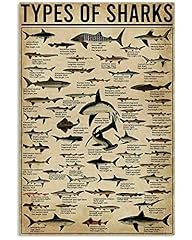 Bcts poster vintage d'occasion  Livré partout en France