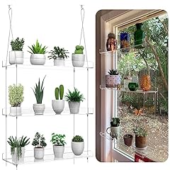 Hanging clear plant for sale  Delivered anywhere in USA 