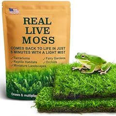 Live moss duo for sale  Delivered anywhere in USA 