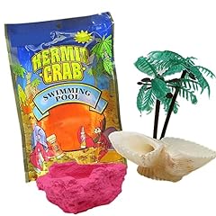 Diy terrarium hermit for sale  Delivered anywhere in USA 
