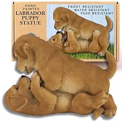 Labrador retriever cucciolo usato  Spedito ovunque in Italia 