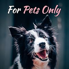 For pets only usato  Spedito ovunque in Italia 