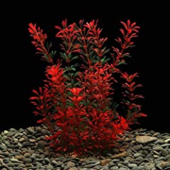 Large aquarium plants for sale  Delivered anywhere in UK