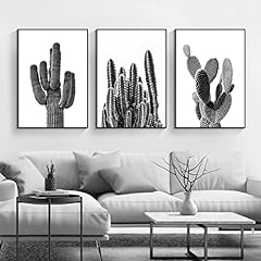 Black white cactus for sale  Delivered anywhere in USA 