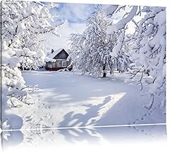 Paysage hiver chalet d'occasion  Livré partout en France