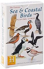 Sea coastal birds for sale  Delivered anywhere in UK