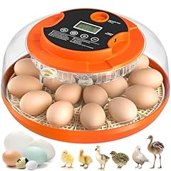 Egg incubator automatic for sale  Delivered anywhere in USA 