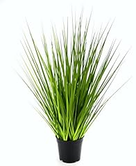 Flair flower gras gebraucht kaufen  Wird an jeden Ort in Deutschland