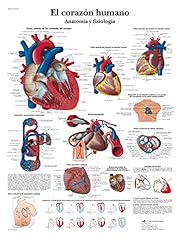 Scientific anatomie physiologi d'occasion  Livré partout en France