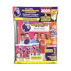 Panini premier league gebraucht kaufen  Wird an jeden Ort in Deutschland
