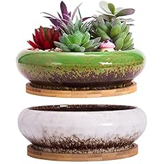 Artketty succulent pots for sale  Delivered anywhere in USA 