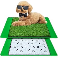 Annexfun dog grass for sale  Delivered anywhere in USA 