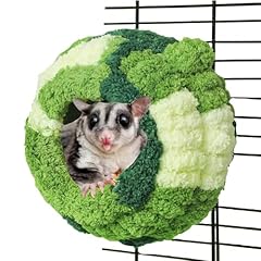 Fladorepet sugar gliders for sale  Delivered anywhere in USA 