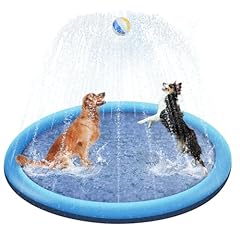 Piscina per cani usato  Spedito ovunque in Italia 