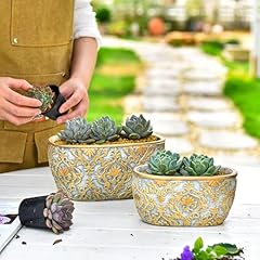 Sungmor cement planter for sale  Delivered anywhere in USA 