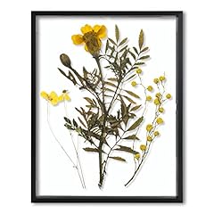 Frametory floating picture for sale  Delivered anywhere in USA 
