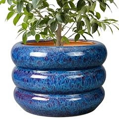 Sqowl ceramic pot for sale  Delivered anywhere in USA 