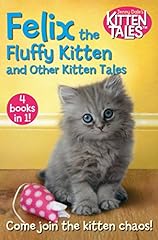 Felix fluffy kitten for sale  Delivered anywhere in UK