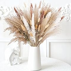 Pieces pampas grass for sale  Delivered anywhere in UK