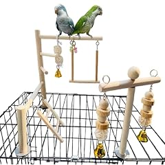 Hamiledyi small bird for sale  Delivered anywhere in USA 