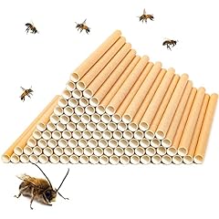 Juvale 100 pack for sale  Delivered anywhere in USA 