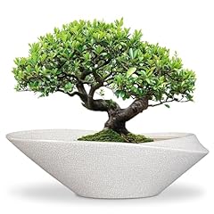 Epfamily bonsai pots for sale  Delivered anywhere in USA 