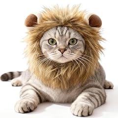 Lxdnbgo cat halloween for sale  Delivered anywhere in USA 