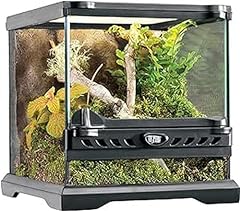 batterie terrarium d'occasion  Livré partout en France