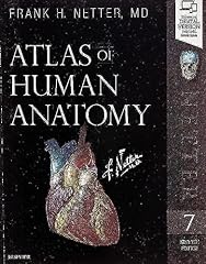 Atlas human anatomy d'occasion  Livré partout en France