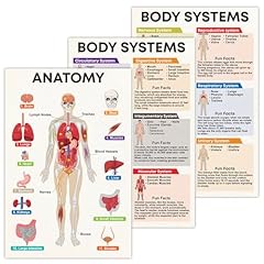 Human body system for sale  Delivered anywhere in USA 