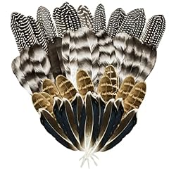 40pcs turkey feathers for sale  Delivered anywhere in UK