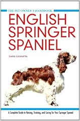 English springer spaniel for sale  Delivered anywhere in UK