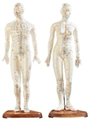 Mannequins acupuncture newgen d'occasion  Livré partout en France