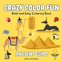 Crazy color fun gebraucht kaufen  Wird an jeden Ort in Deutschland