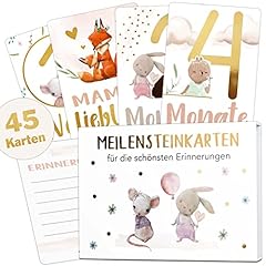 Lgs baby meilensteinkarten gebraucht kaufen  Wird an jeden Ort in Deutschland