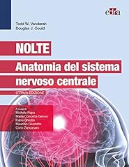 Nolte. anatomia del usato  Spedito ovunque in Italia 