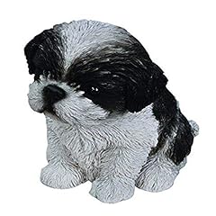Line sitting shih for sale  Delivered anywhere in USA 