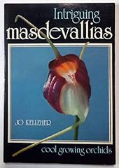 Intriguing masdevallias usato  Spedito ovunque in Italia 
