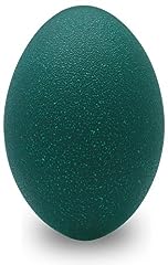 Premium emu eggshell for sale  Delivered anywhere in UK