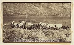 Historic pictoric photo for sale  Delivered anywhere in USA 