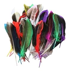 Pack colourful feathers for sale  Delivered anywhere in UK
