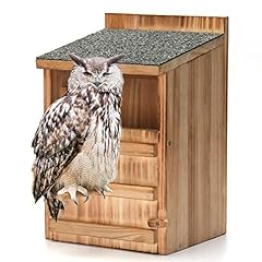Owl house screech for sale  Delivered anywhere in UK