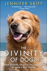 The divinity dogs gebraucht kaufen  Wird an jeden Ort in Deutschland