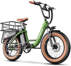 Cargo ebike rear for sale  Delivered anywhere in USA 