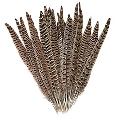 Lowats plumes faisan d'occasion  Livré partout en France